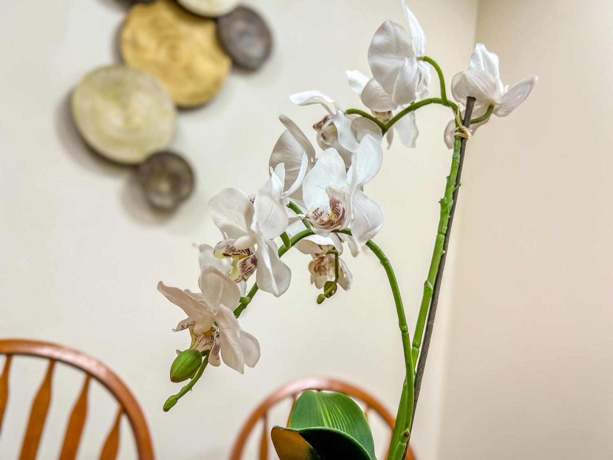 County Hall Apartment Hotel Бостон Экстерьер фото